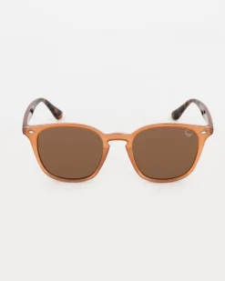 Women Old Khaki Sunglasses>Unisex Wayfarer Sunglasses